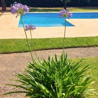 WhatsApp Image 2025-09-01 at 2.20.57 PM (1)