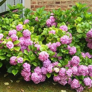 WhatsApp Image 2025-09-01 at 2.20.58 PM (1)